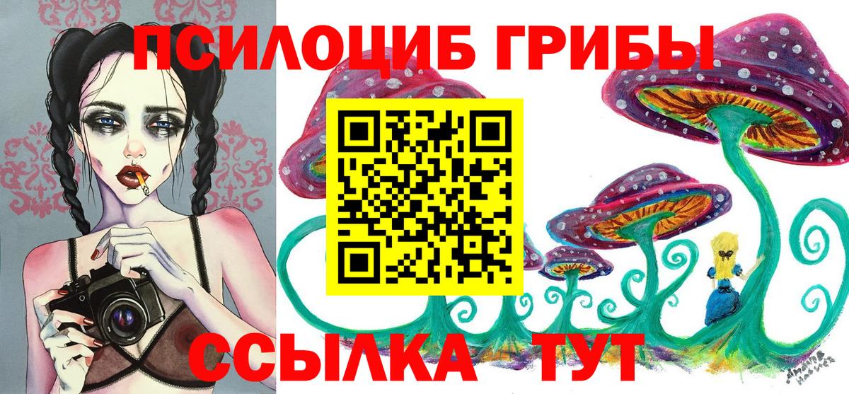 Галлюциногенные грибы прущие грибы Обнинск