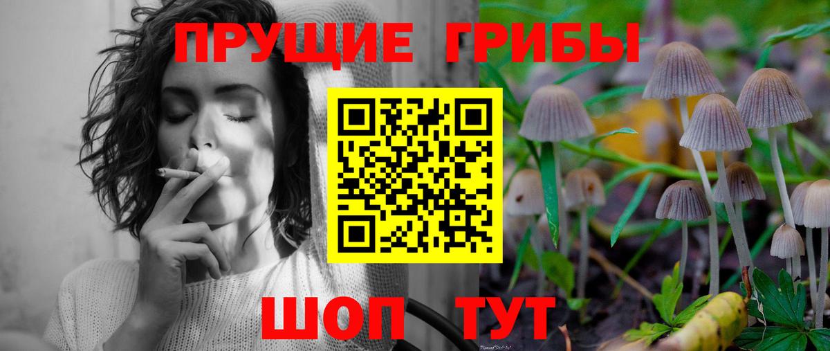 Обнинск  где найти наркотики  Вход с VPN  Галлюциногенные грибы Magic Shrooms 